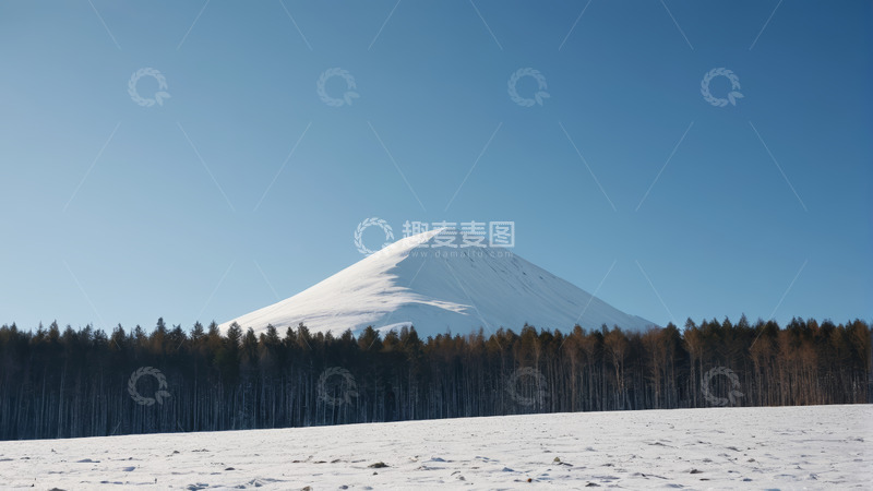高清大图下载【趣麦麦图】雪覆山峰与森林景观