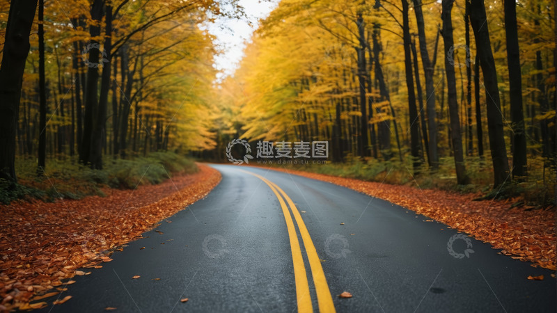 高清大图下载【趣麦麦图】秋季林间蜿蜒的公路