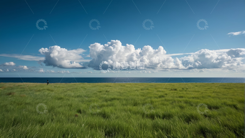 高清大图下载【趣麦麦图】草原大海边独行者风景