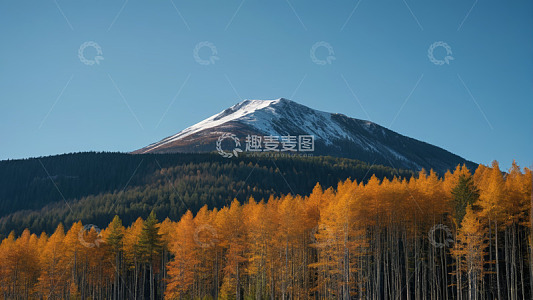 秋日山林与远处雪山风景