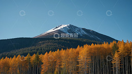 秋日山林与远处雪山风景