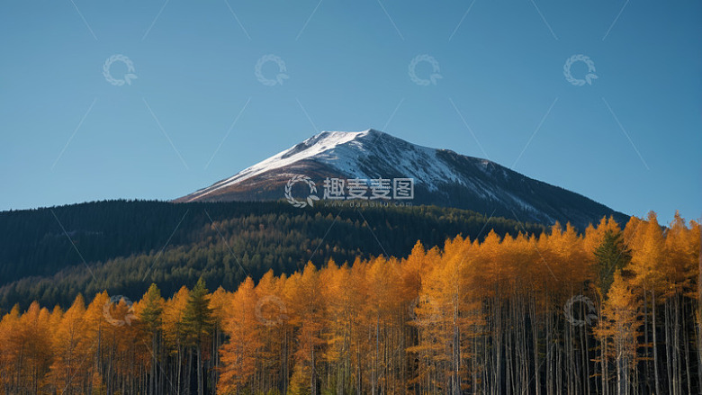 秋日山林与远处雪山风景