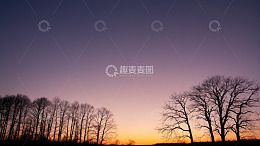 黄昏时分树林与天空景色