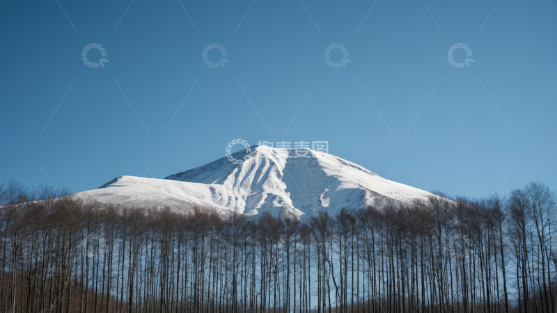 高清大图下载【趣麦麦图】雪山与树林的自然景观