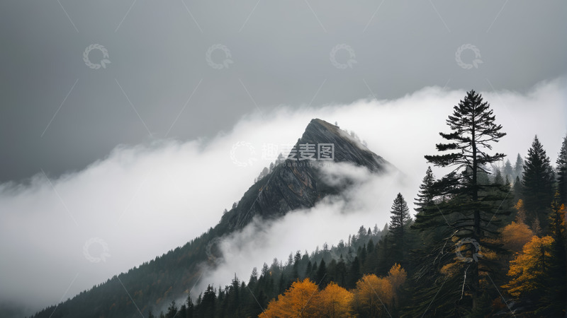 高清大图下载【趣麦麦图】云雾缭绕的山林景观