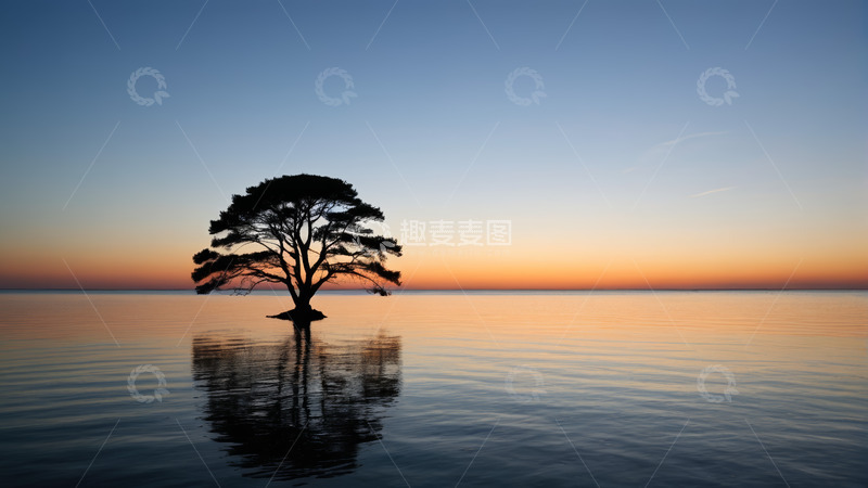 高清大图下载【趣麦麦图】湖畔孤树日落景观