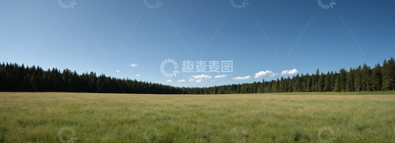 高清大图下载【趣麦麦图】广阔草地与远处森林景观
