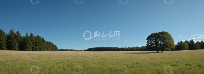 高清大图下载【趣麦麦图】开阔草地与树林自然风光