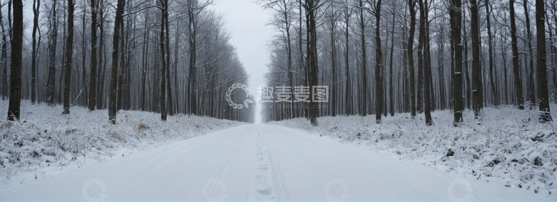 高清大图下载【趣麦麦图】雪后森林中的积雪道路
