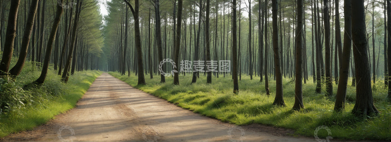 高清大图下载【趣麦麦图】林间小道自然风光全景