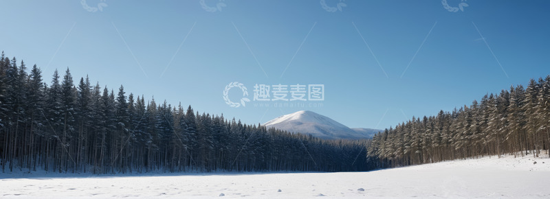 高清大图下载【趣麦麦图】雪覆盖森林与远山风景