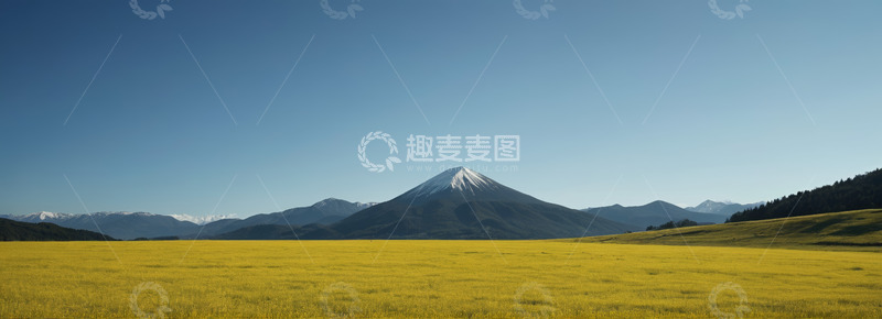 高清大图下载【趣麦麦图】黄色花田与远处雪山风景