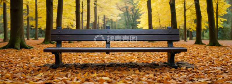 高清大图下载【趣麦麦图】秋日公园长椅落叶景观