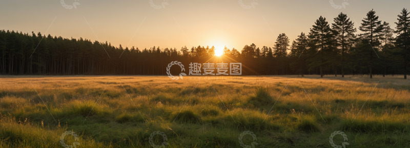 高清大图下载【趣麦麦图】森林边草地日落景象