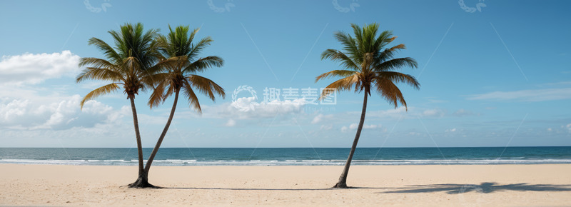 高清大图下载【趣麦麦图】热带海滩椰子树风景