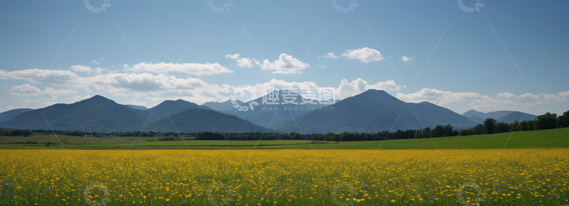 高清大图下载【趣麦麦图】田野黄花与远山自然景观