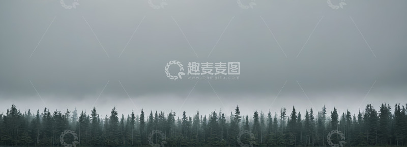 高清大图下载【趣麦麦图】云雾笼罩的森林景观