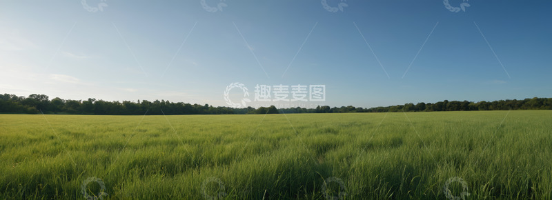 高清大图下载【趣麦麦图】户外绿色农田自然风光