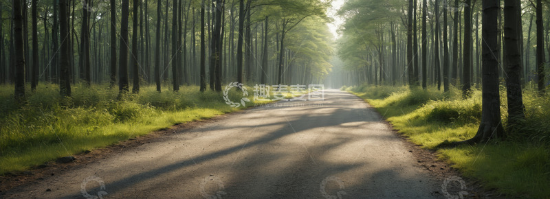 高清大图下载【趣麦麦图】林间道路自然风光景象