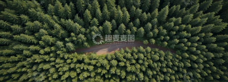 高清大图下载【趣麦麦图】森林中蜿蜒道路俯瞰