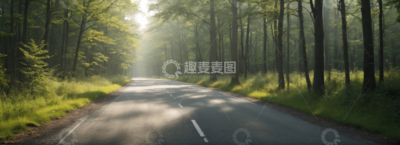 高清大图下载【趣麦麦图】林间道路阳光洒落景象
