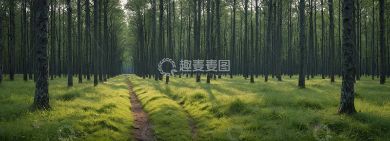 高清大图下载【趣麦麦图】林间小道自然风光