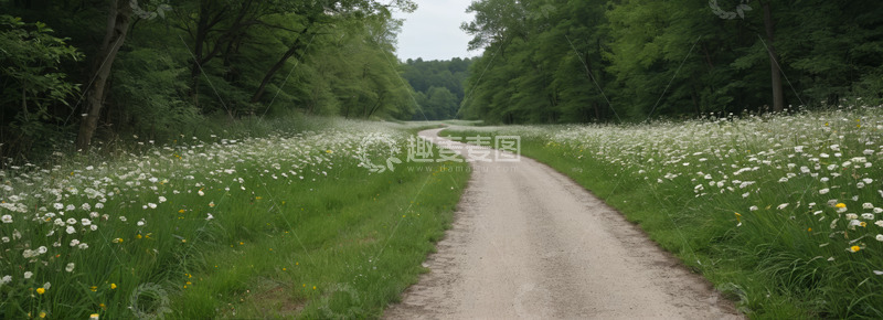 高清大图下载【趣麦麦图】林间开满野花的蜿蜒小路
