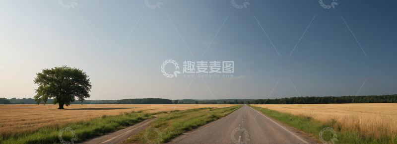 高清大图下载【趣麦麦图】田野间道路旁的独树景观