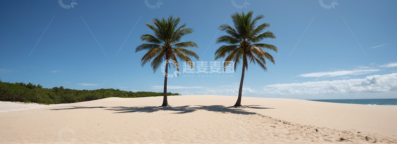 高清大图下载【趣麦麦图】沙滩上的两棵椰子树