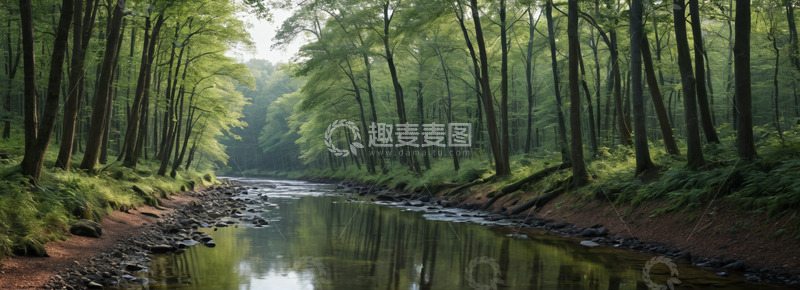 高清大图下载【趣麦麦图】森林中的宁静河流
