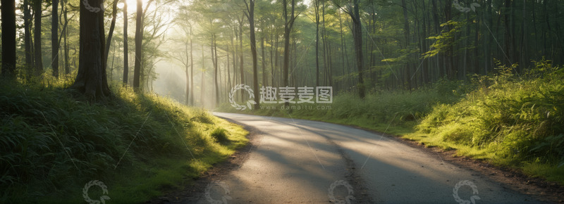 高清大图下载【趣麦麦图】林间小道清晨阳光洒落