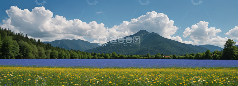 高清大图下载【趣麦麦图】户外花海与远山风景