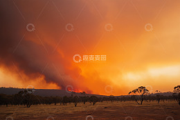 野外森林火灾场景