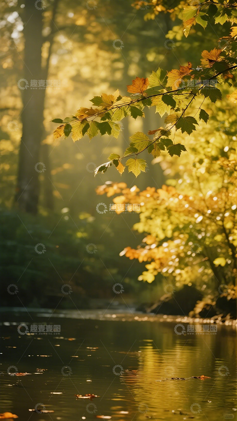 高清大图下载【趣麦麦图】秋日森林溪流美景