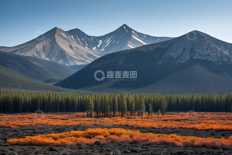 高清大图下载【趣麦麦图】山林间的多彩植被与山脉景观