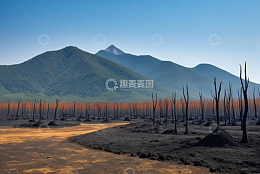 远山与枯树林自然景观