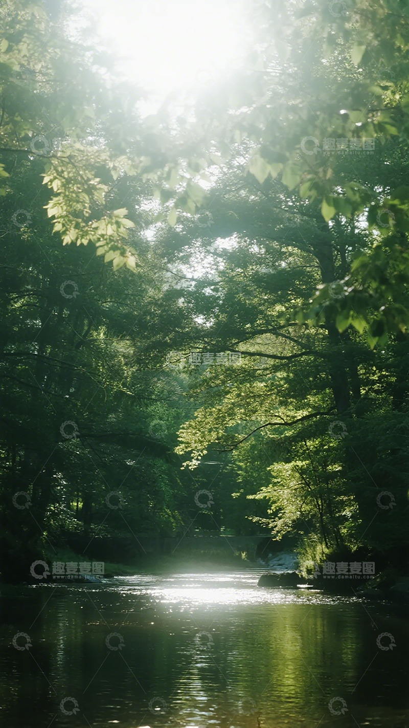 高清大图下载【趣麦麦图】森林溪流晨光美景