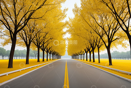 秋日金黄林荫道路风景