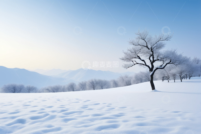 高清大图下载【趣麦麦图】冬日雪景中的孤树与远山