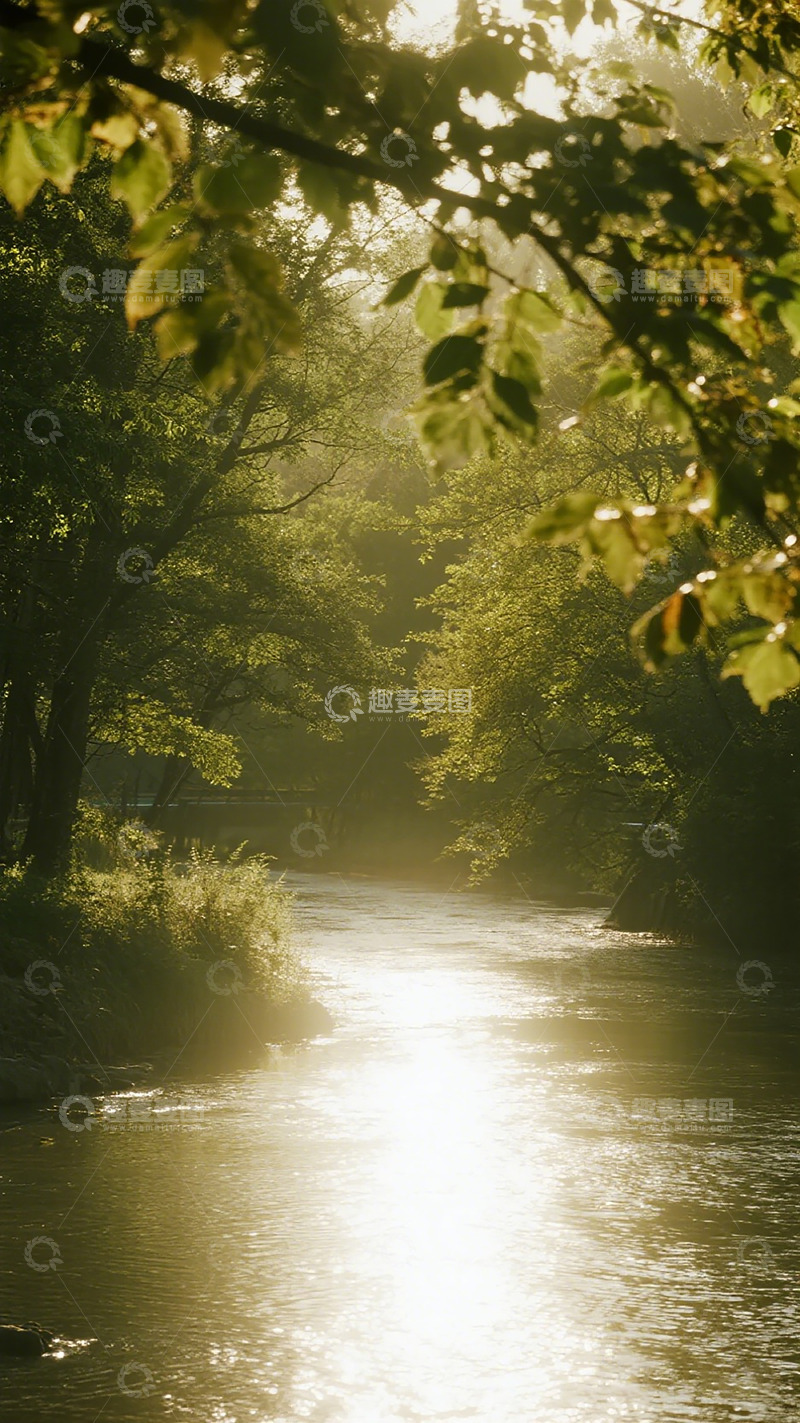 高清大图下载【趣麦麦图】晨光河流树影风景