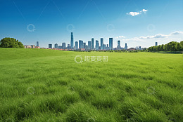 城市草坪与远处高楼景观