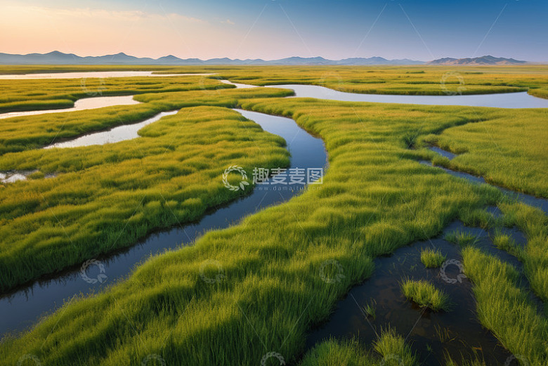 湿地清晨自然风光全景
