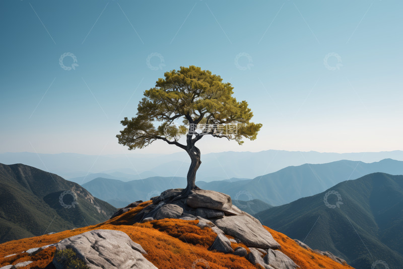 高清大图下载【趣麦麦图】山顶孤树与远山景观