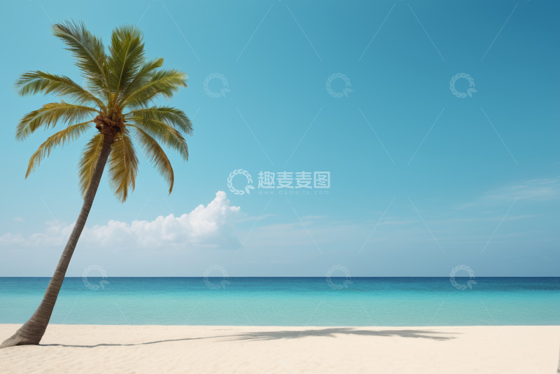 高清大图下载【趣麦麦图】海滩上倾斜的棕榈树与海洋