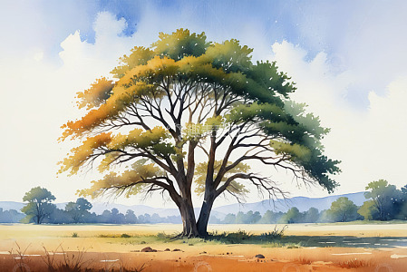 原野上的大树水彩画