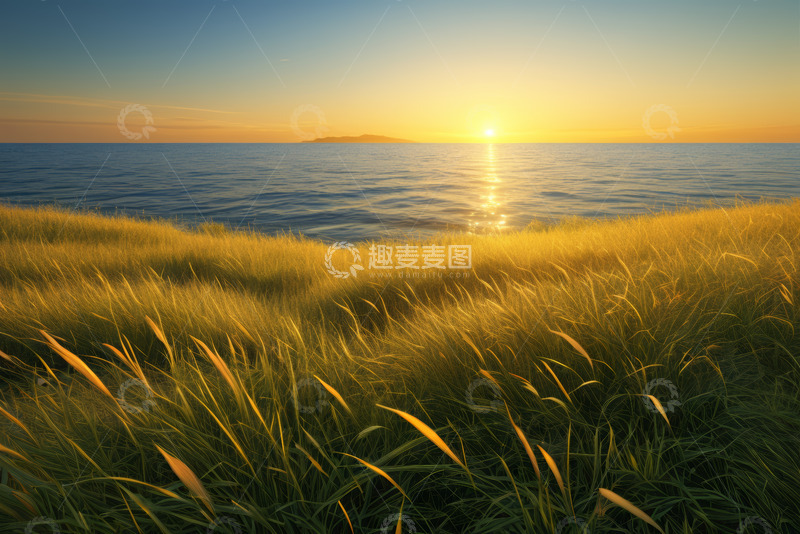 高清大图下载【趣麦麦图】海边日落时的草地与海景
