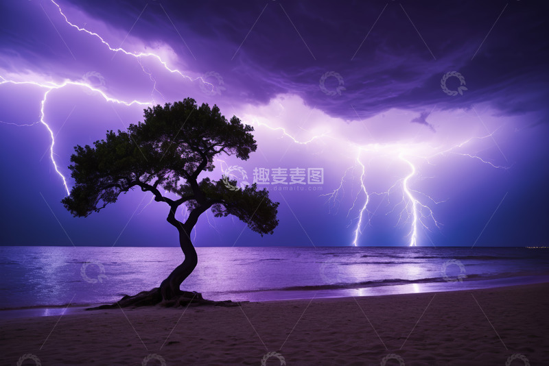 高清大图下载【趣麦麦图】海边雷暴天气下的孤树景观
