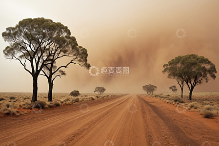 沙漠公路沙尘暴景观