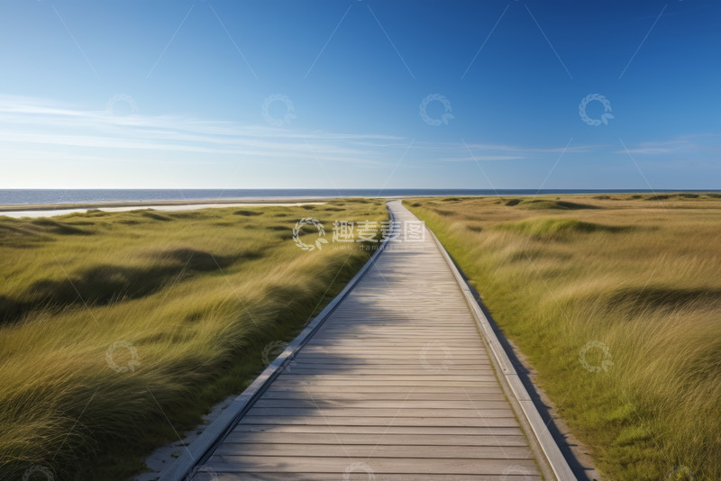 高清大图下载【趣麦麦图】海边草地中的木质步道