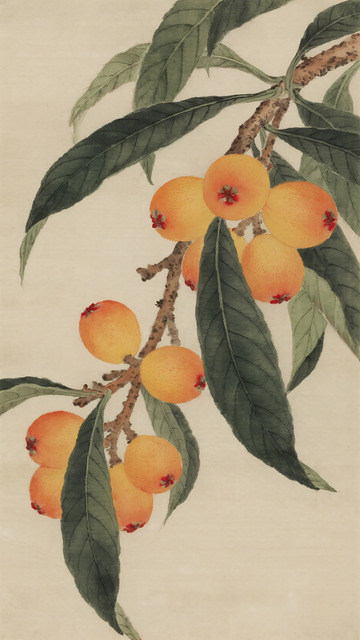 工笔枇杷果实绘画作品